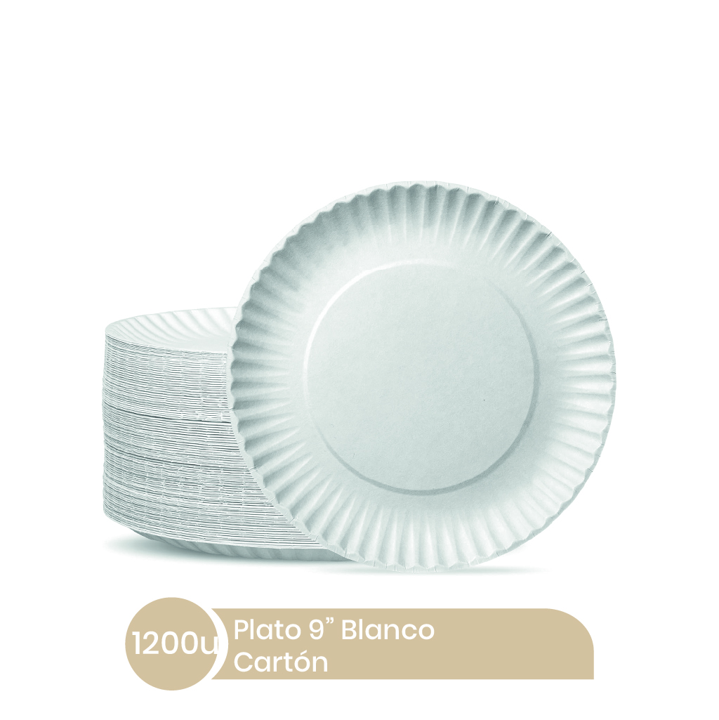 Plato #9 Carton Belen 12x100